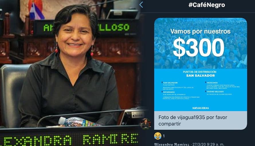 Diputada del FMLN difundió material falso para jugar con la necesidad de la gente
