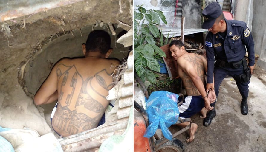 Pandillero se ocultaba en una cueva para no ir a la cárcel pero fue encontrado y capturado