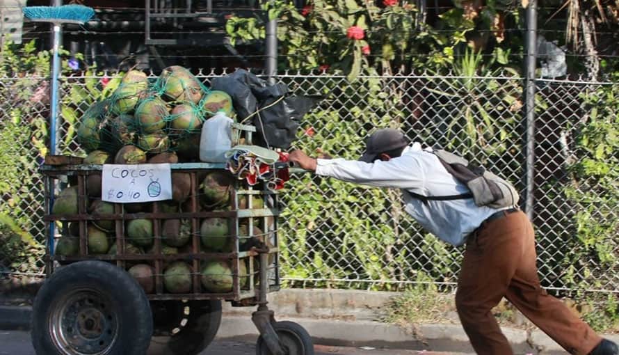 “Tengo que pelar 200 cocos para juntar la renta que le cobran los pandilleros a mi papá”, expresó una salvadoreña en redes sociales