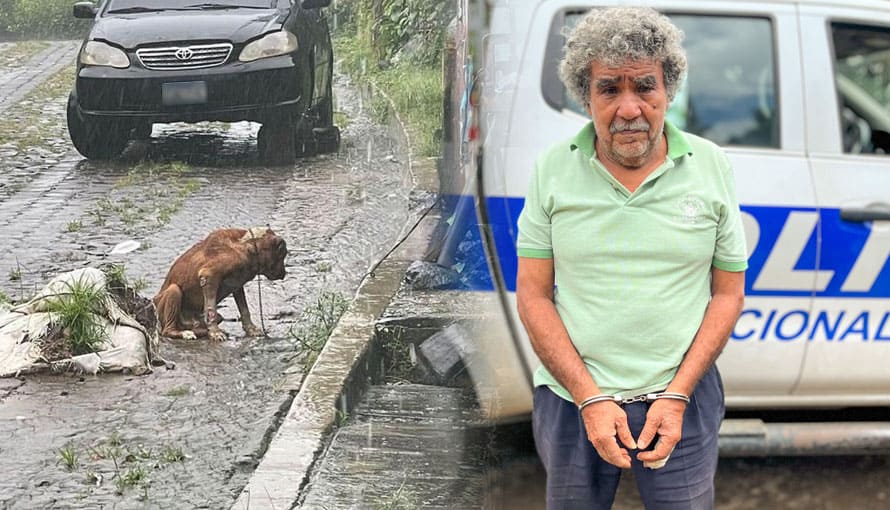 Autoridades arrestan a hombre que dejó amarrado a su perrito para que se mojara en una tormenta