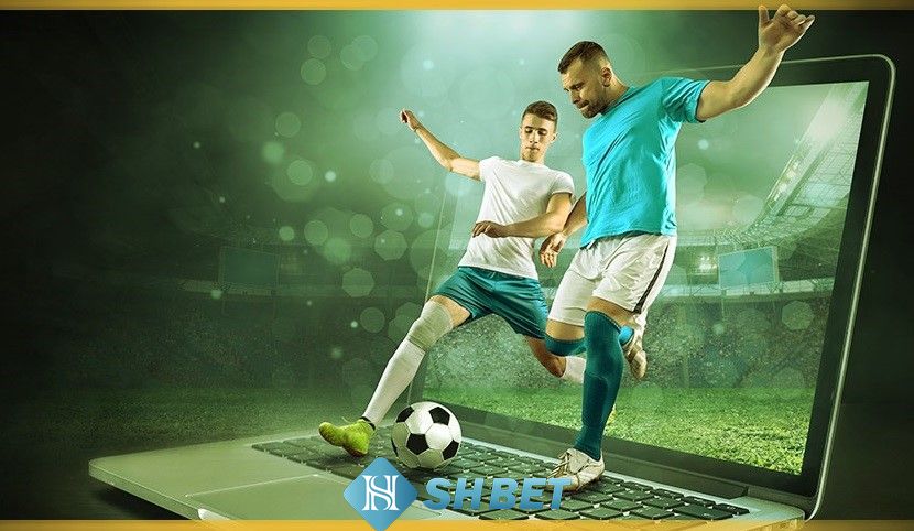 Cá cược bóng đá mỗi ngày
